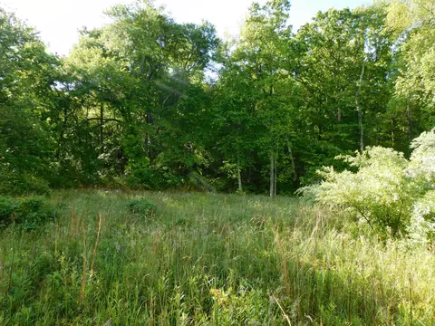 2098 60th Ave S, Gruetli Laager, TN 37339