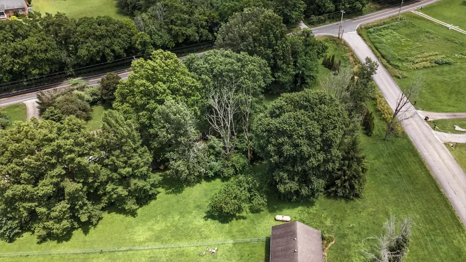 View/Area - 4216 Pulaski Hwy, Culleoka, TN 38451 photo 4 of 7