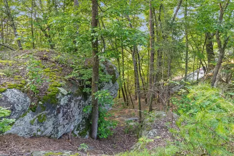109 Windridge Ln S, Dunlap, TN 37327 photo 60