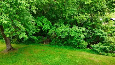 0 Mill St, Pulaski, TN 38478 photo 35