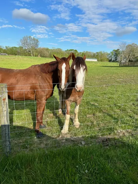 Other - 1387 Floyd Rd, Eagleville, TN 37060 photo 36 of 36