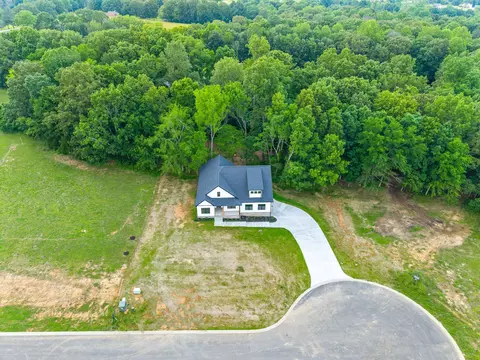 149 Ruby Grant Ln, Southside, TN 37171 photo 47