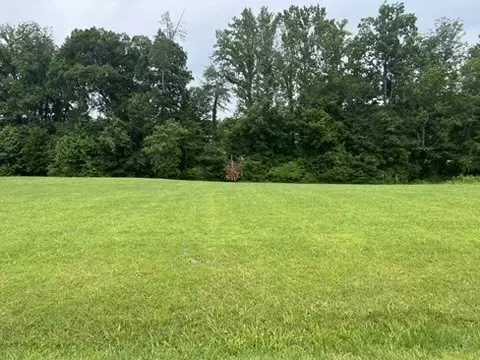 0 Chestnut Oak Ave, Smithville, TN 37166