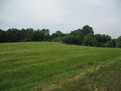 386 Belotes Bend Rd, Castalian Springs, TN 37031