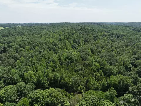 0 Batson Rd, Cunningham, TN 37052 photo 4