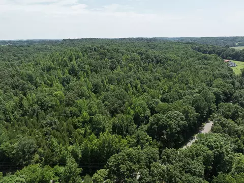 0 Batson Rd, Cunningham, TN 37052 photo 2