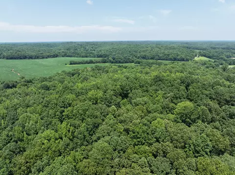 0 Batson Rd, Cunningham, TN 37052 photo 6