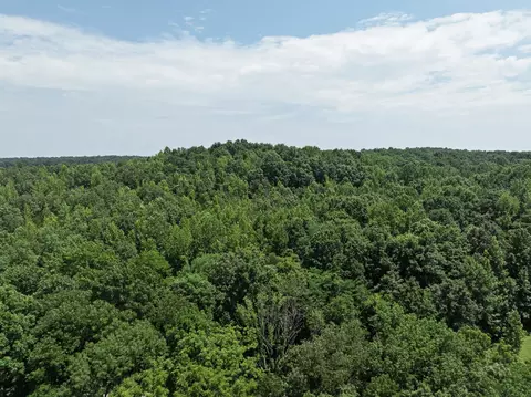 0 Batson Rd, Cunningham, TN 37052 photo 3