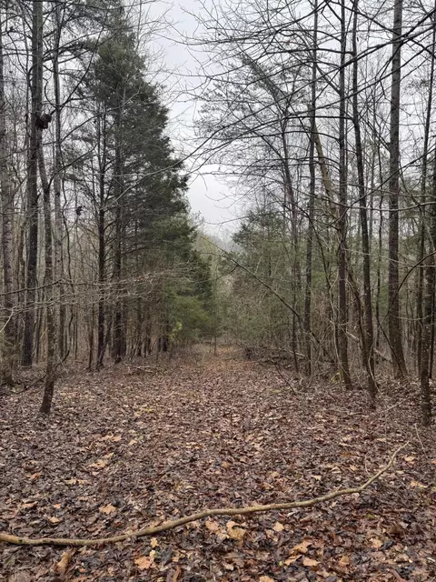 6524 Anderson Acres Dr, Georgetown, TN 37336