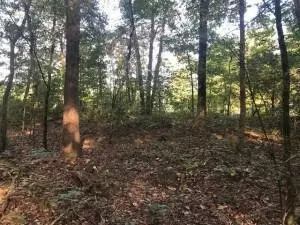 4 Boyd Rd, Benton, TN 37307 photo 5