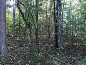 4 Boyd Rd, Benton, TN 37307 photo 6