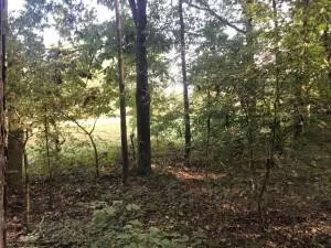 4 Boyd Rd, Benton, TN 37307 photo 7