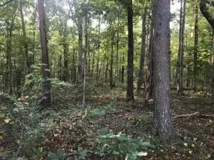 4 Boyd Rd, Benton, TN 37307 photo 4