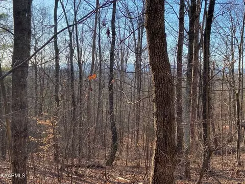4 Tomotley Rd, Maryville, TN 37801