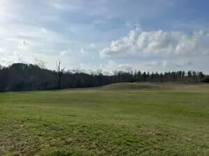 1 Athens Rd, Calhoun, TN 37309 photo 14