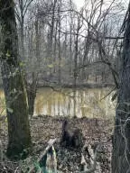1 Athens Rd, Calhoun, TN 37309 photo 19