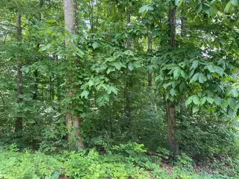 14 County Road 1121, Athens, TN 37303