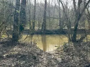 1 Athens Rd, Calhoun, TN 37309 photo 17