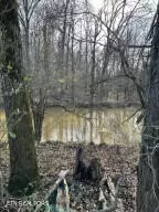 1 Athens Rd, Calhoun, TN 37309 photo 14
