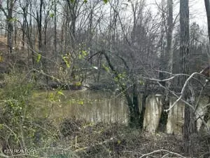 1 Athens Rd, Calhoun, TN 37309 photo 15
