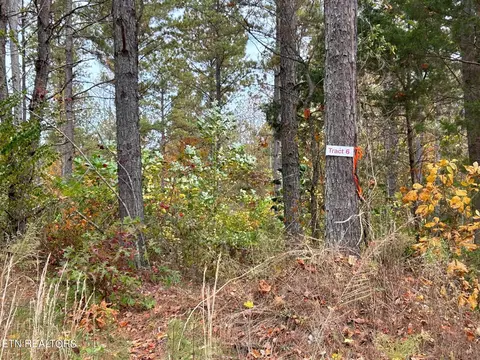 6 County Road 351, Niota, TN 37826
