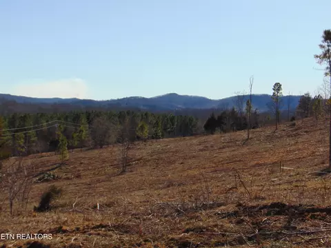 5866 Cuno Ln, Decatur, TN 37322