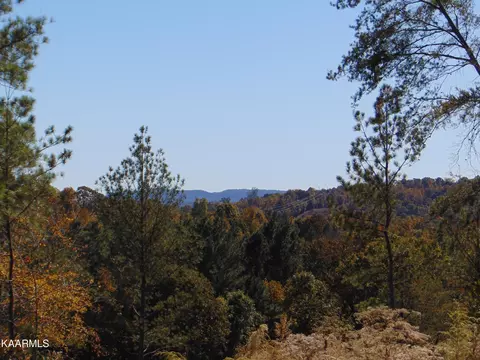 155 Cameron Rd, Decatur, TN 37322