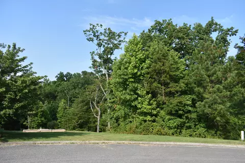 0 Roundtree Ct, Flintstone, GA 30725