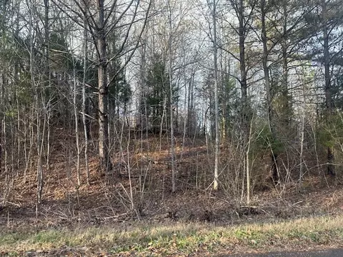20 Brown Bnd, Only, TN 37140 photo 5