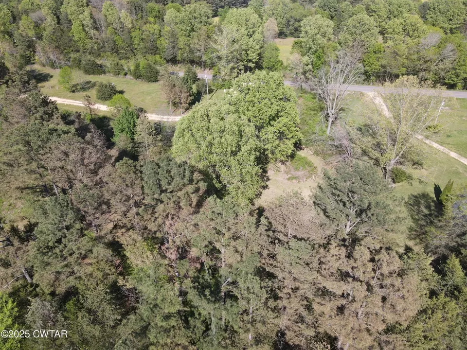  0 Mount Carmel Rd, Decaturville, TN 38329 photo 3
