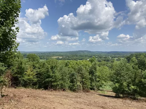 12 Joy Rd, Mount Pleasant, TN 38474