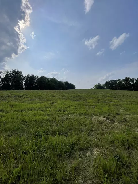 8 Annie Hollow Rd, Westmoreland, TN 37186