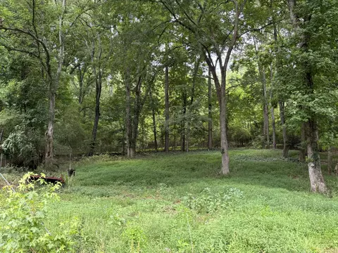 8907 Hidden Branches Rd, Harrison, TN 37341 photo 2