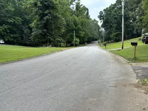 8907 Hidden Branches Rd, Harrison, TN 37341 photo 3
