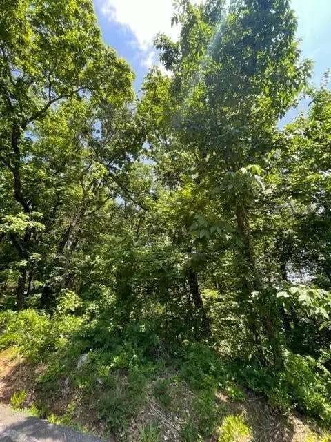 0 Cabin Rd, Chattanooga, TN 37404
