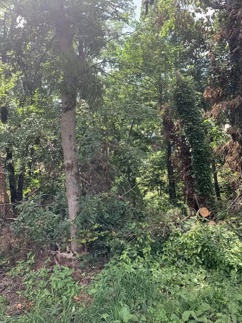 517 Druid Ln, Chattanooga, TN 37405