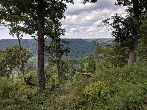 0 Sunset Cir, Jasper, TN 37347 photo 7