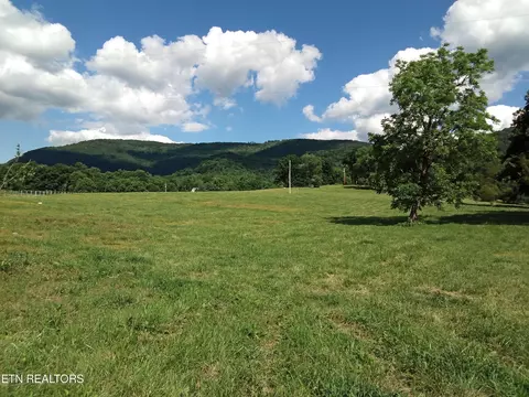 96 Lucky D Farm Rd, Pikeville, TN 37367