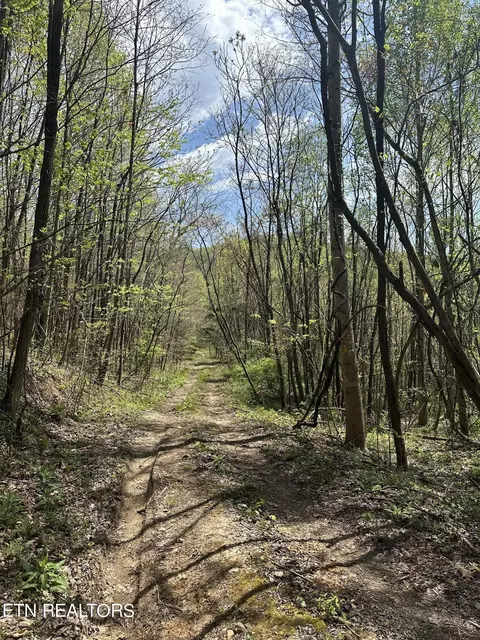 0 Holden Hollow Rd, Jamestown, TN 38556