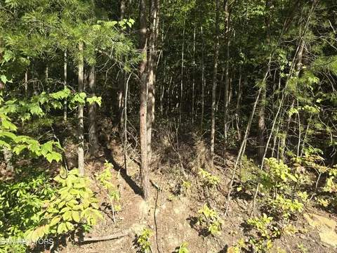 29 Byron Ln, Crossville, TN 38558