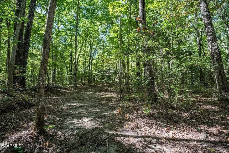  1912 Indian Park Rd, Monterey, TN 38574 photo 46