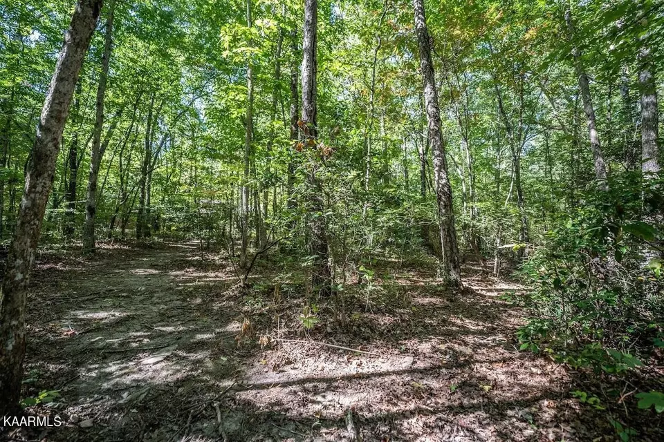  1912 Indian Park Rd, Monterey, TN 38574 photo 47