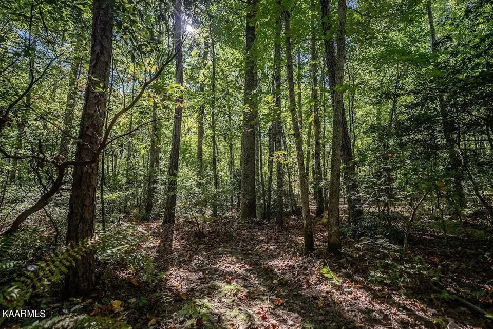  1912 Indian Park Rd, Monterey, TN 38574 photo 50