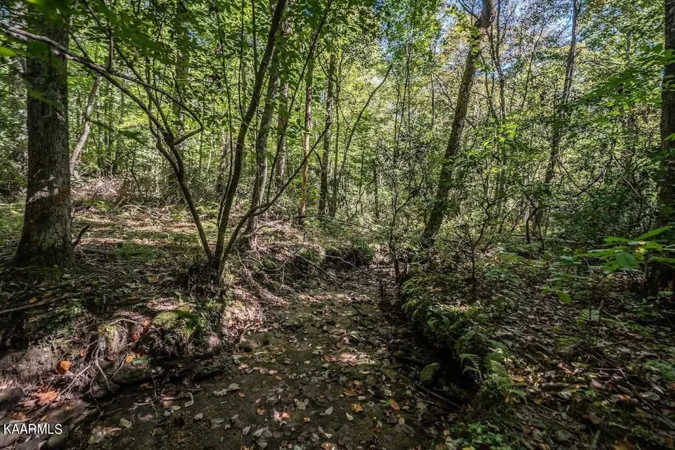  1912 Indian Park Rd, Monterey, TN 38574 photo 48