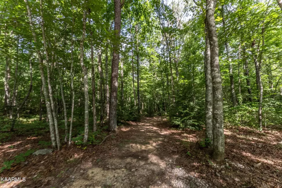  1912 Indian Park Rd, Monterey, TN 38574 photo 45