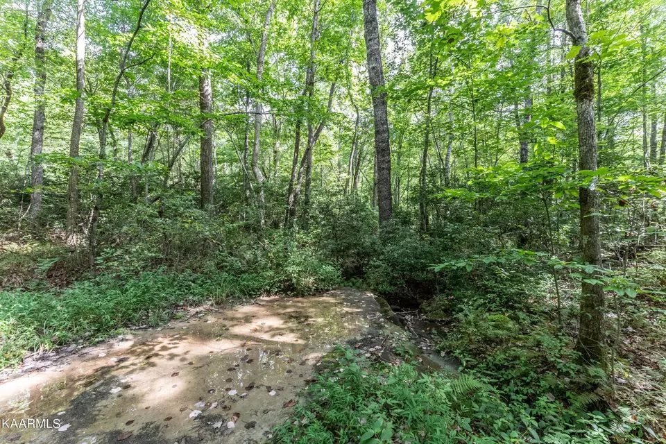  1912 Indian Park Rd, Monterey, TN 38574 photo 53