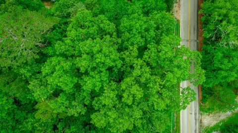 7441 Short Tail Springs Rd, Harrison, TN 37341