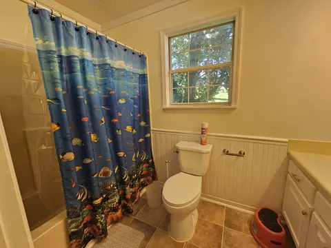 Bath - 770 Jack Smith Rd, Dunlap, TN 37327 photo 2 of 4
