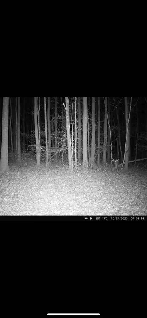 428 Eagle Rd, Buchanan, TN 38222 photo 35