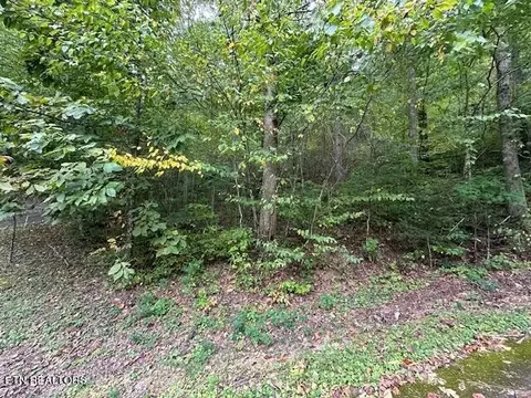 63 Bluestone Way, Townsend, TN 37882